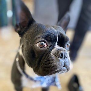 Meet your Posher, Letia